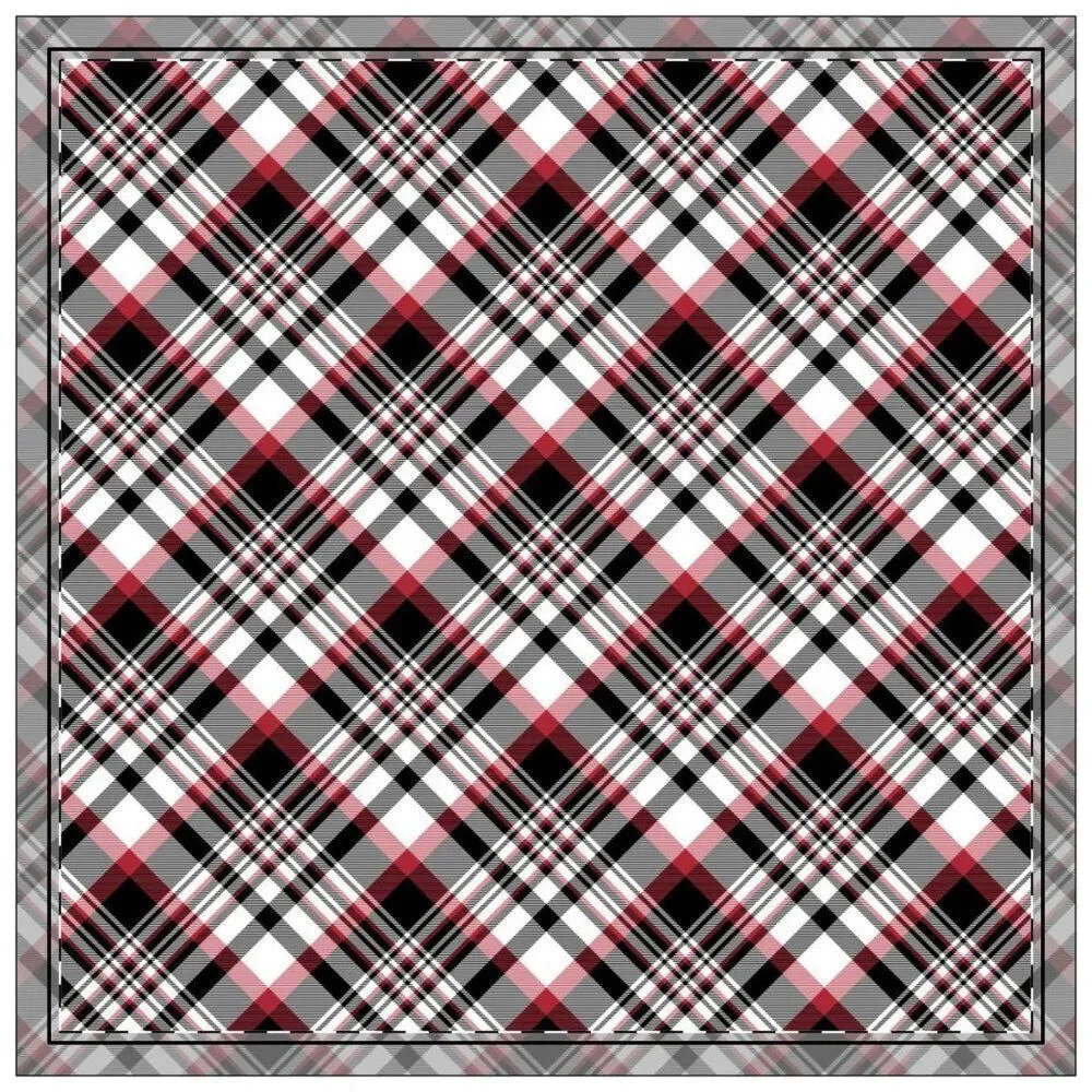 NWT Porter Anna- Red & Black Cotton Napkin 4-set, Tartan